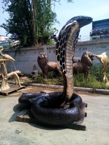 Giant Bronze cobra