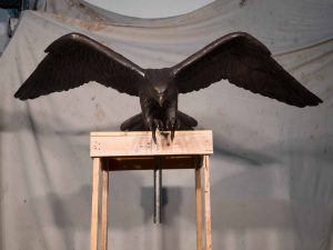 5ft Wingspan Falcon