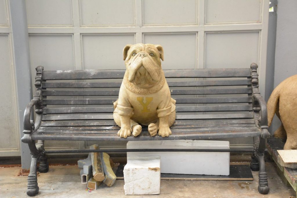 Yale Custom Bulldog on Bench
