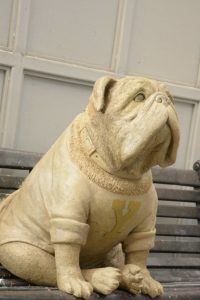 Yale custom bulldog on bench mascot